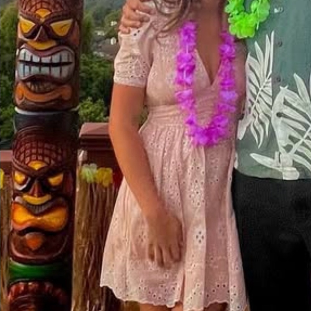 Pink Eyelet Lace Dress